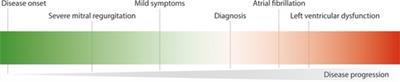 Microinvasive mitral valve surgery: Current status and status quo